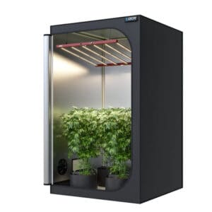 OCR Light 150 (150x150x200 cm)
