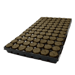 Green Trading XXL Anzuchtschale mit Kokosquelltabletten für nachhaltiges Pflanzenwachstum.